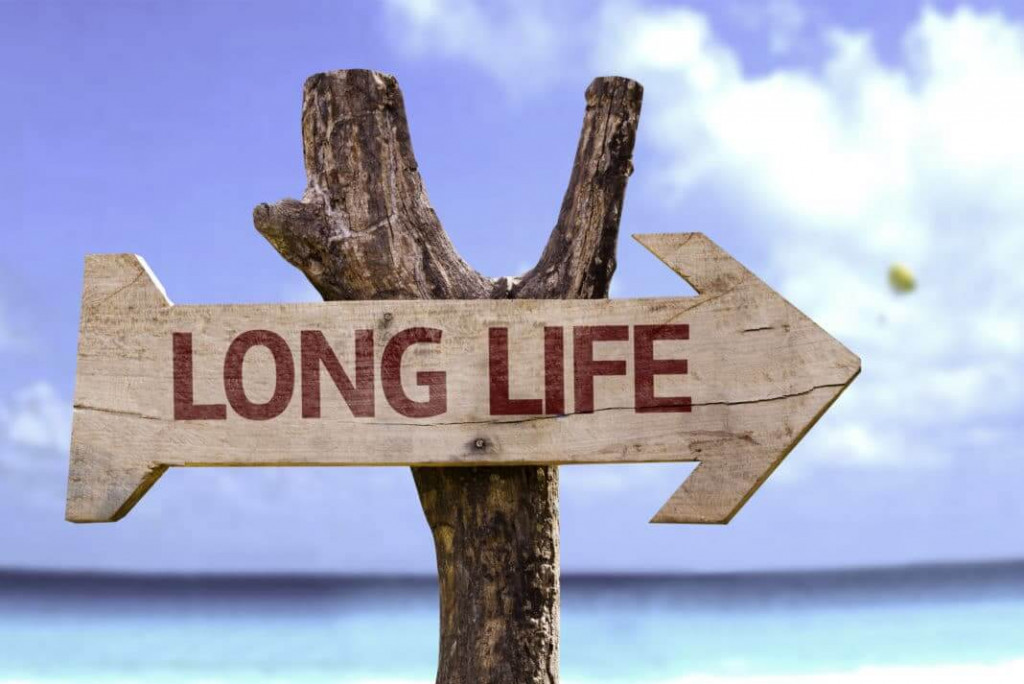 Extend The Life of Your Roof